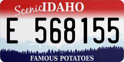 ID license plate E568155