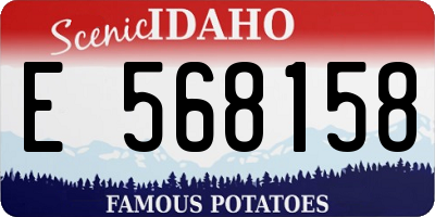 ID license plate E568158
