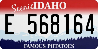 ID license plate E568164