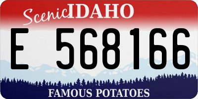 ID license plate E568166