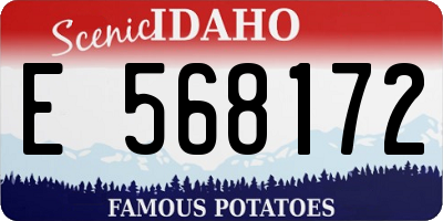 ID license plate E568172