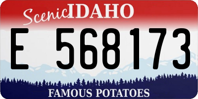 ID license plate E568173