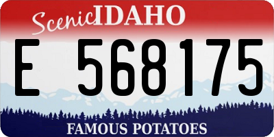 ID license plate E568175