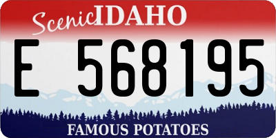 ID license plate E568195