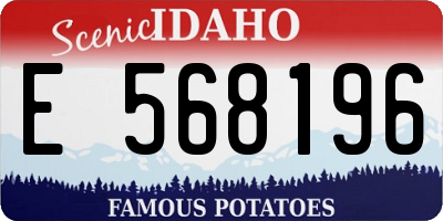 ID license plate E568196