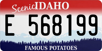 ID license plate E568199