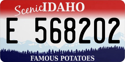 ID license plate E568202