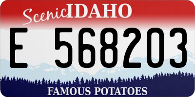 ID license plate E568203