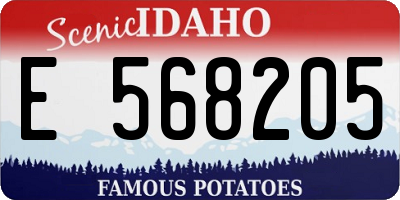 ID license plate E568205