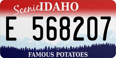 ID license plate E568207
