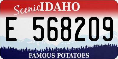 ID license plate E568209