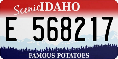ID license plate E568217