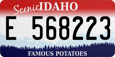ID license plate E568223