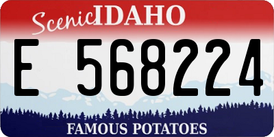 ID license plate E568224