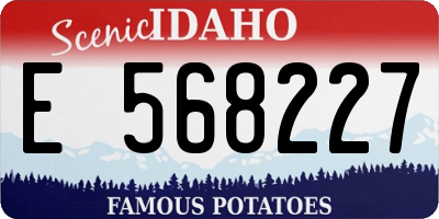 ID license plate E568227