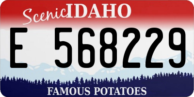 ID license plate E568229