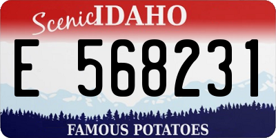 ID license plate E568231