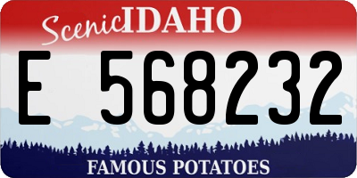 ID license plate E568232