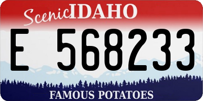ID license plate E568233