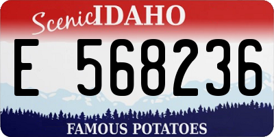 ID license plate E568236