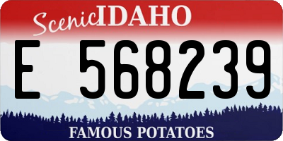 ID license plate E568239