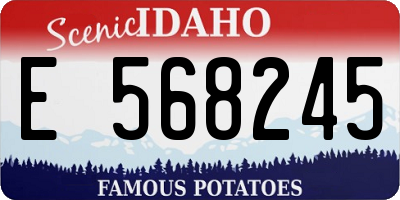 ID license plate E568245
