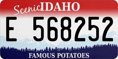 ID license plate E568252