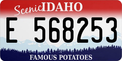 ID license plate E568253