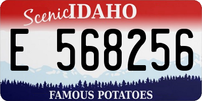 ID license plate E568256