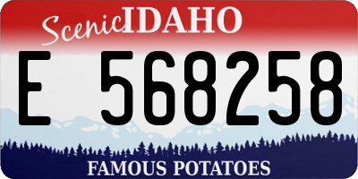 ID license plate E568258