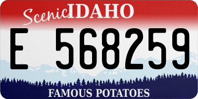 ID license plate E568259