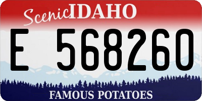 ID license plate E568260