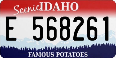 ID license plate E568261