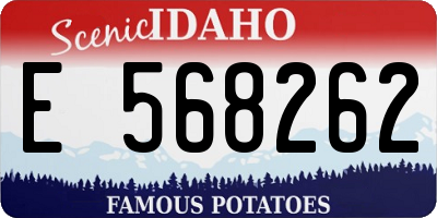 ID license plate E568262