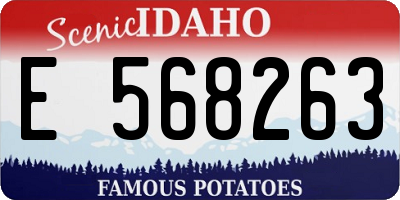 ID license plate E568263