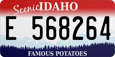 ID license plate E568264
