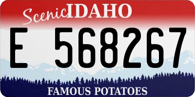 ID license plate E568267