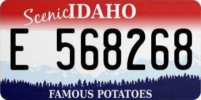 ID license plate E568268