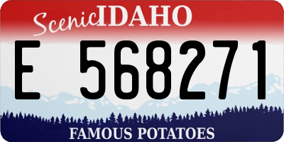 ID license plate E568271