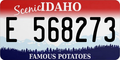 ID license plate E568273