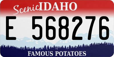ID license plate E568276