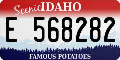 ID license plate E568282