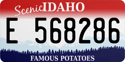 ID license plate E568286