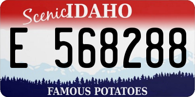 ID license plate E568288
