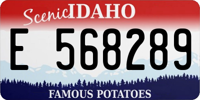 ID license plate E568289