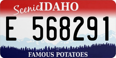 ID license plate E568291