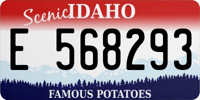 ID license plate E568293