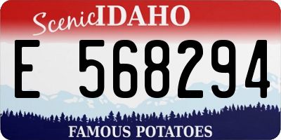 ID license plate E568294