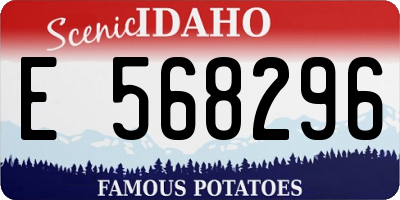 ID license plate E568296