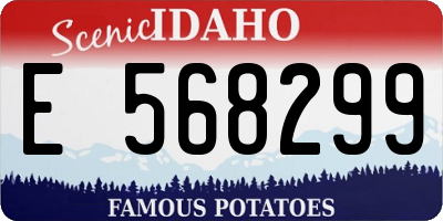 ID license plate E568299